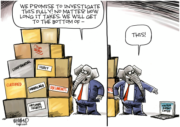 https://image.politicalcartoons.com/269787/600/the-bottom.png