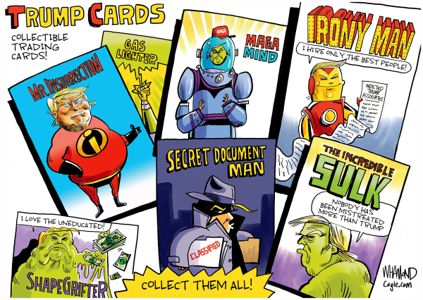 https://image.politicalcartoons.com/269909/600/trump-cards.png