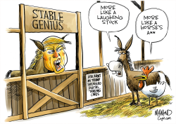 THE STABLE GENIUS by Dave Whamond