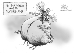 TAXPAYERS AND THE FLYING PIG by Dick Wright