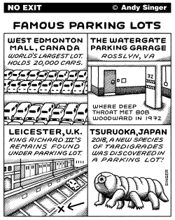 FAMOUS PARKING LOTS by Andy Singer