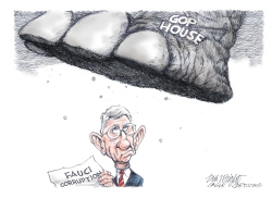 FAUCI INVESTIGATION by Dick Wright