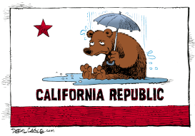 CALIFORNIA RAIN  by Daryl Cagle