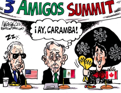 AMIGOS SUMMIT by Steve Nease
