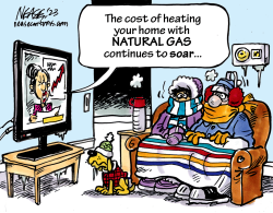 NATURAL GAS by Steve Nease