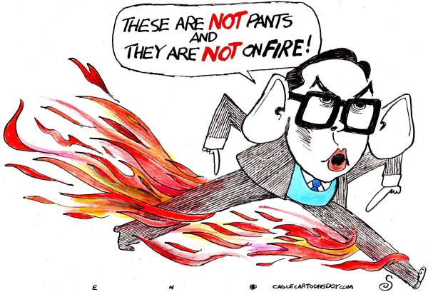 If Congressman Pants on Fire can get elected, then so can I