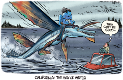 CALIFORNIA: THE WAY OF WATER by Rick McKee
