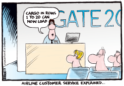 AIRLINE CUSTOMER SERVICE EXPLAINED by Ingrid Rice