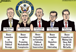 HOUSE OF REPRESENTATIVES COMMITTEES by Steve Greenberg