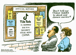 TIKTOK BANNED by Jimmy Margulies