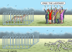 FREE THE LEOPARD by Marian Kamensky