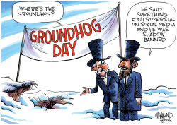 THE GROUNDHOG'S SHADOW by Dave Whamond