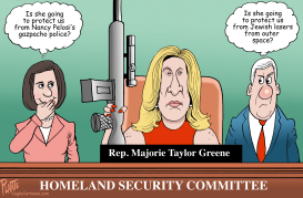 HOMELAND INSECURITY by Bruce Plante