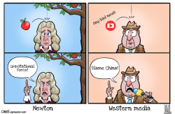 NEWTON VS WESTERN MEDIA by Luojie