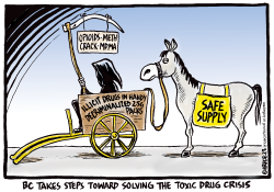 SOLVING THE TOXIC DRUG CRISIS by Ingrid Rice