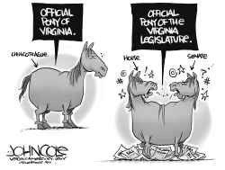 VIRGINIA OFFICIAL STATE PONIES by John Cole