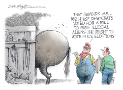 DEMOCRATS VOTE TO GIVE VOTE TO ILLEGALS by Dick Wright