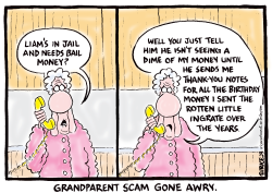 GRANDPARENT SCAM GONE AWRY by Ingrid Rice