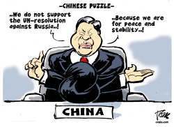 CHINESE PUZZLE by Tom Janssen