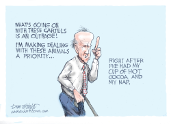 BIDEN INACTION ON CARTELS by Dick Wright