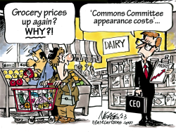 GROCERY COSTS by Steve Nease