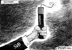 SILICONE VALLEY BANK ABOUT TO GO BOOM by Rivers