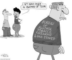 BUREAU OF GAS STOVES by Gary McCoy
