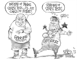 BANKING SYSTEM STRESS TESTS by John Darkow