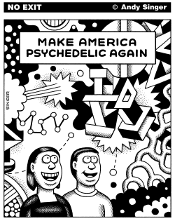 MAKE AMERICA PSYCHEDELIC AGAIN by Andy Singer