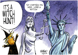 WITCH INDICTED by Dave Whamond