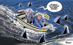 TRUMP IN UNCHARTED WATERS by Paresh Nath