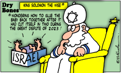 KING SOLOMON THE WISE by Yaakov Kirschen