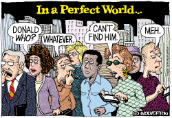 TRUMP IN A PERFECT WORLD by Monte Wolverton