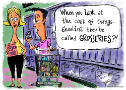 COST OF GROCERIES by Guy Parsons