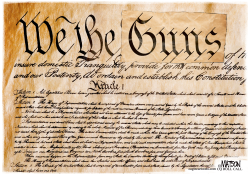 WE THE GUNS CONSTITUTIONAL PASTE OVER by R.J. Matson