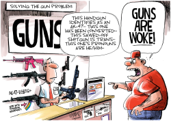 THE GUN PROBLEM SOLUTION? by Dave Whamond