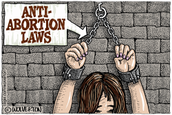 ANTI ABORTION LAWS by Monte Wolverton