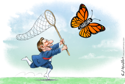 DESANTIS CHASE CHARISMA BUTTERFLY by Ed Wexler
