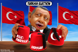TURKISH ELECTION by Bart van Leeuwen