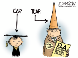TENNESSEE TCAP SCORE CONFUSION by John Cole