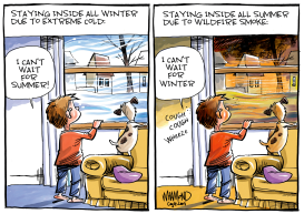 THE GREAT INDOORS by Dave Whamond