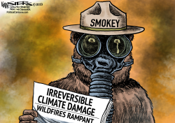 SMOKEY'S TEARS by Kevin Siers