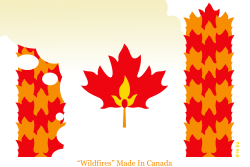 WILDFIRES MADE IN CANADA by NEMØ