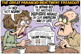 INDICTMENT PARANOIA by Monte Wolverton