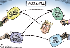 IN A PICKLEBALL by Joe Heller