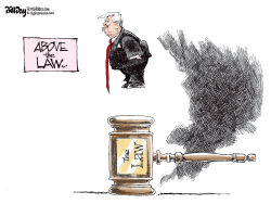 ABOVE THE LAW by Bill Day