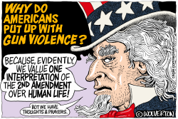 WHY GUN VIOLENCE by Monte Wolverton