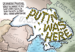 UKRAINE SUNFLOWERS by Joe Heller