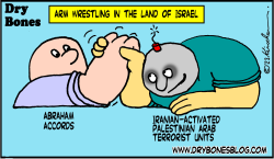 ARM WRESTLING IN THE LAND OF ISRAEL by Yaakov Kirschen