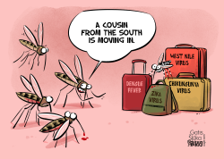 MOSQUITOES AND CLIMATE CHANGE by Gatis Sluka